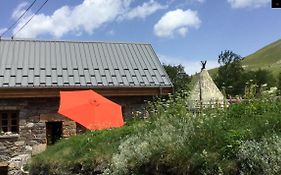 Le Ptit Chalet
